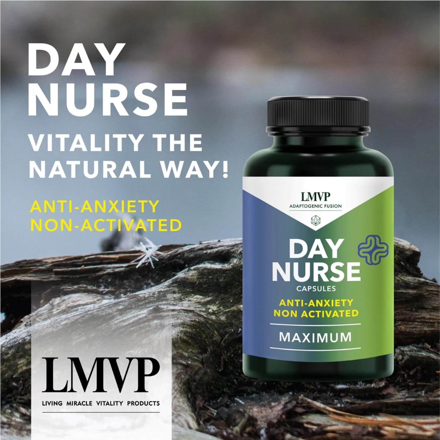 515785022_122222976848122754_6090303904440403136_n (1)