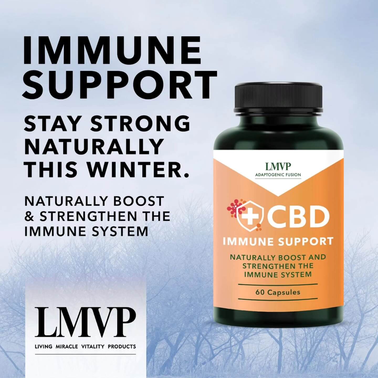 516835604_122222845454122754_1502468599559891719_n (1)