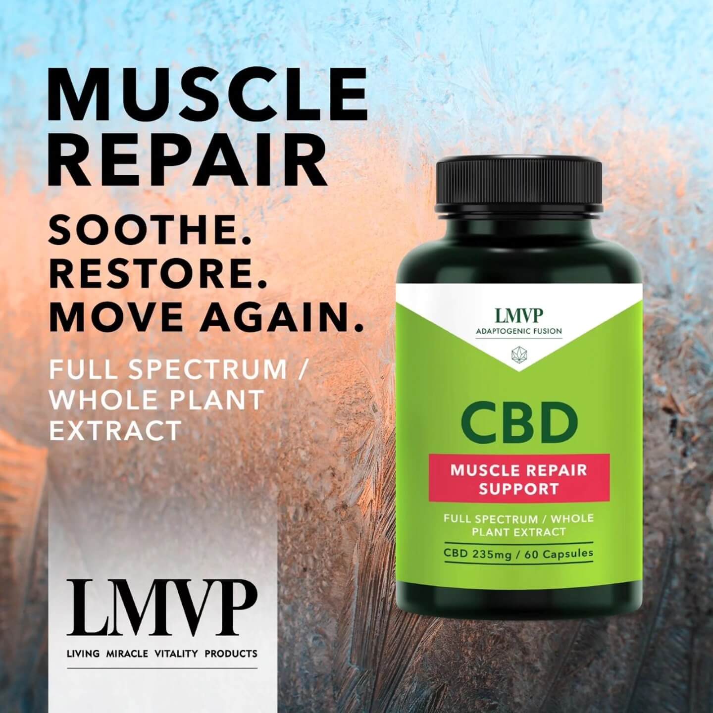 518106226_122222690612122754_5033358296310411211_n (1)