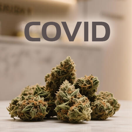 T2V web ggb cv 8u7 (1)